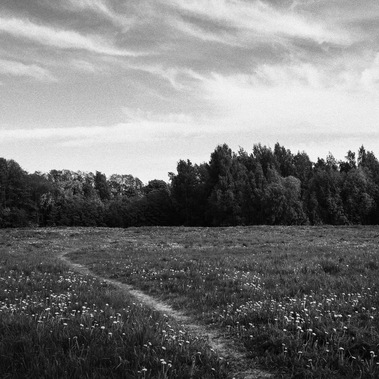 I dag har vi været ude at plukke de smukkeste sommerblomster – solen skinnede, og duften hang i luften. Sådan bliver vores buketter altid en lille stund af sommer! 🌻