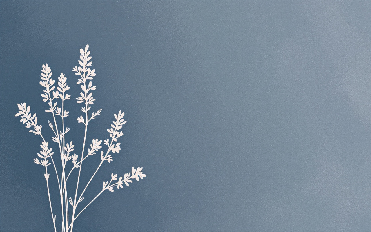 Ordet “lavendel” går tilbage til middelalderlatin lavandula.